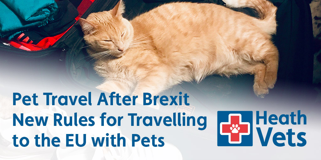 Defra pet deals travel brexit