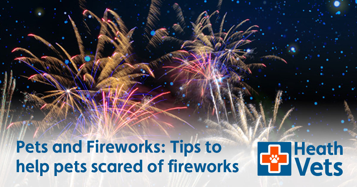 Pets And Fireworks | Top Tips To Help Pets Scared Of Fireworks