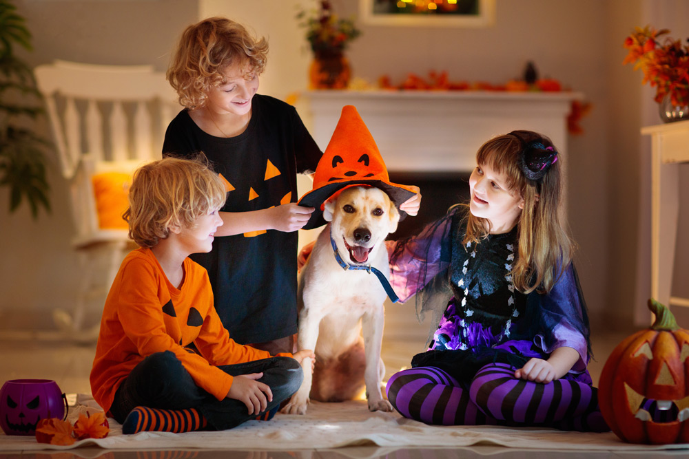 5 Spooktacular Halloween Pet Safety Tips